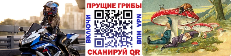 Псилоцибиновые грибы мицелий Могоча
