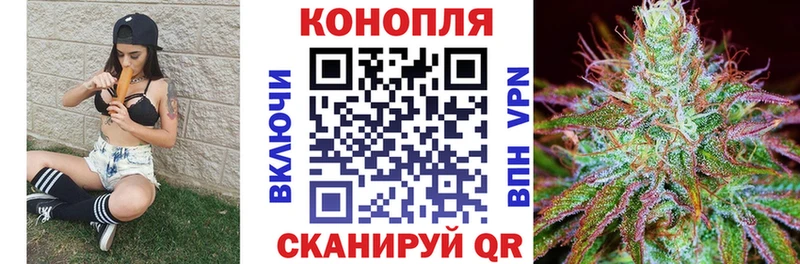 Марихуана OG Kush Могоча